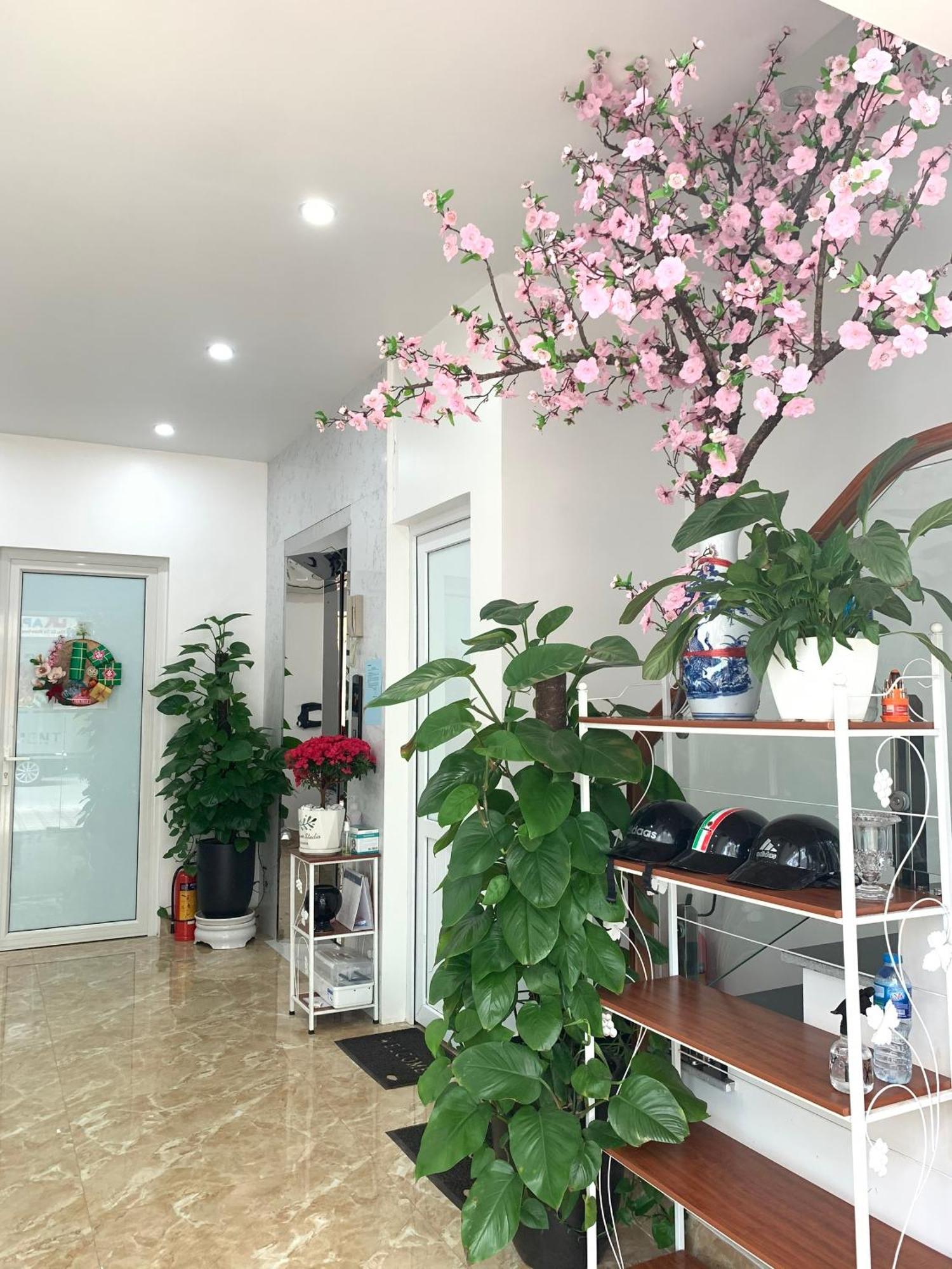 Dk Apartment 1 Hai Phong Eksteriør bilde